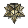Stella-Moravian-Star-Metal/Mercury-Glass-LED-Flush-Mount-Flush-Mounts