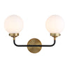 Caleb 2-Light Contemporary Transitional Iron/Glass LED Vanity Light