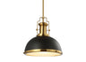 Homer 1-Light Modern Industrial Iron LED Dome Pendant
