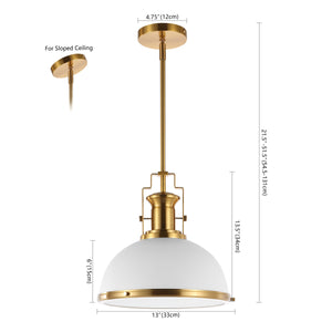 Homer 1-Light Modern Industrial Iron LED Dome Pendant