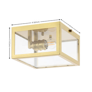 Eleanor 1-Light Farmhouse Industrial Square Iron/Glass Case LED Flush Mount