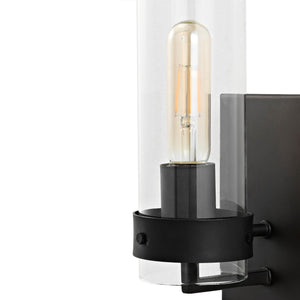 Harper 1-Light Modern Farmhouse Iron/Glass LED Sconce