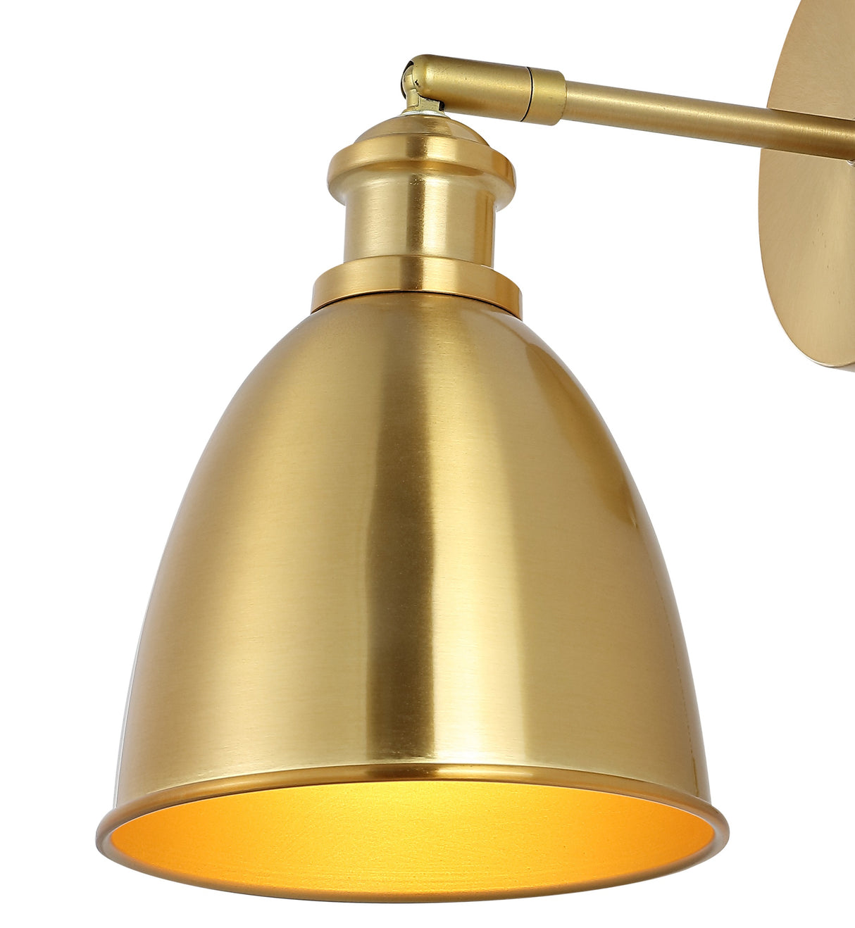 Hudson 1-Light Farmhouse Bohemian Iron LED Sconce
