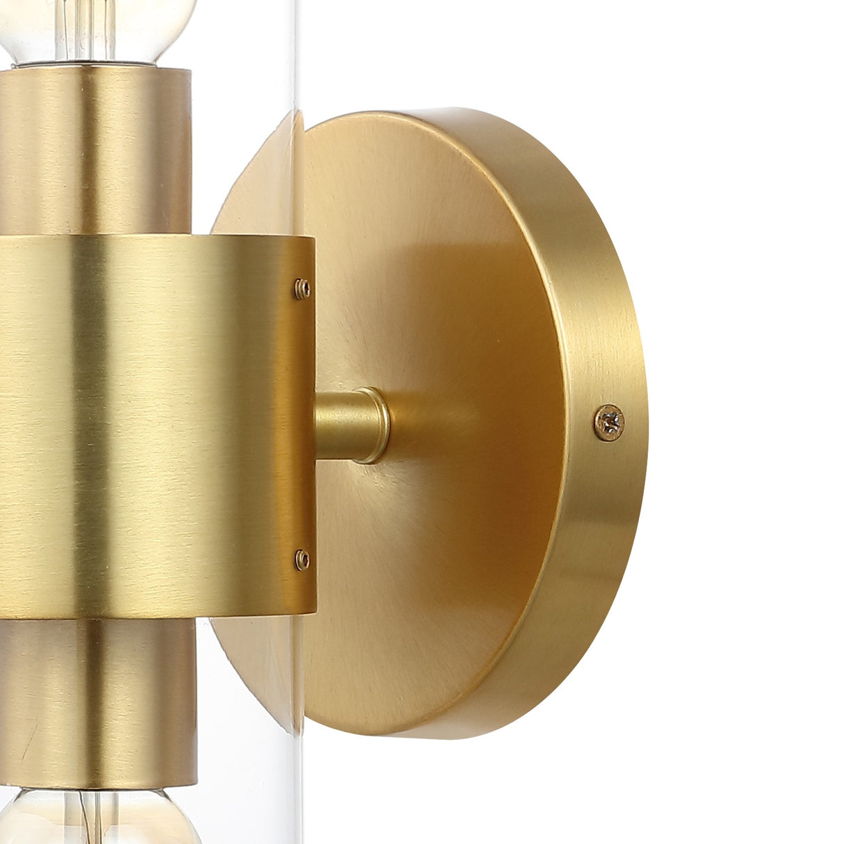 Quinn 2-Light Mid-Century Modern Iron/Acrylic LED Sconce