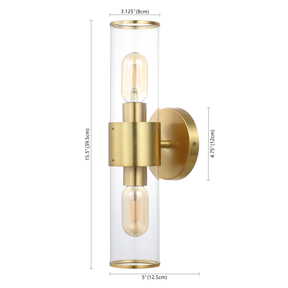Quinn 2-Light Mid-Century Modern Iron/Acrylic LED Sconce