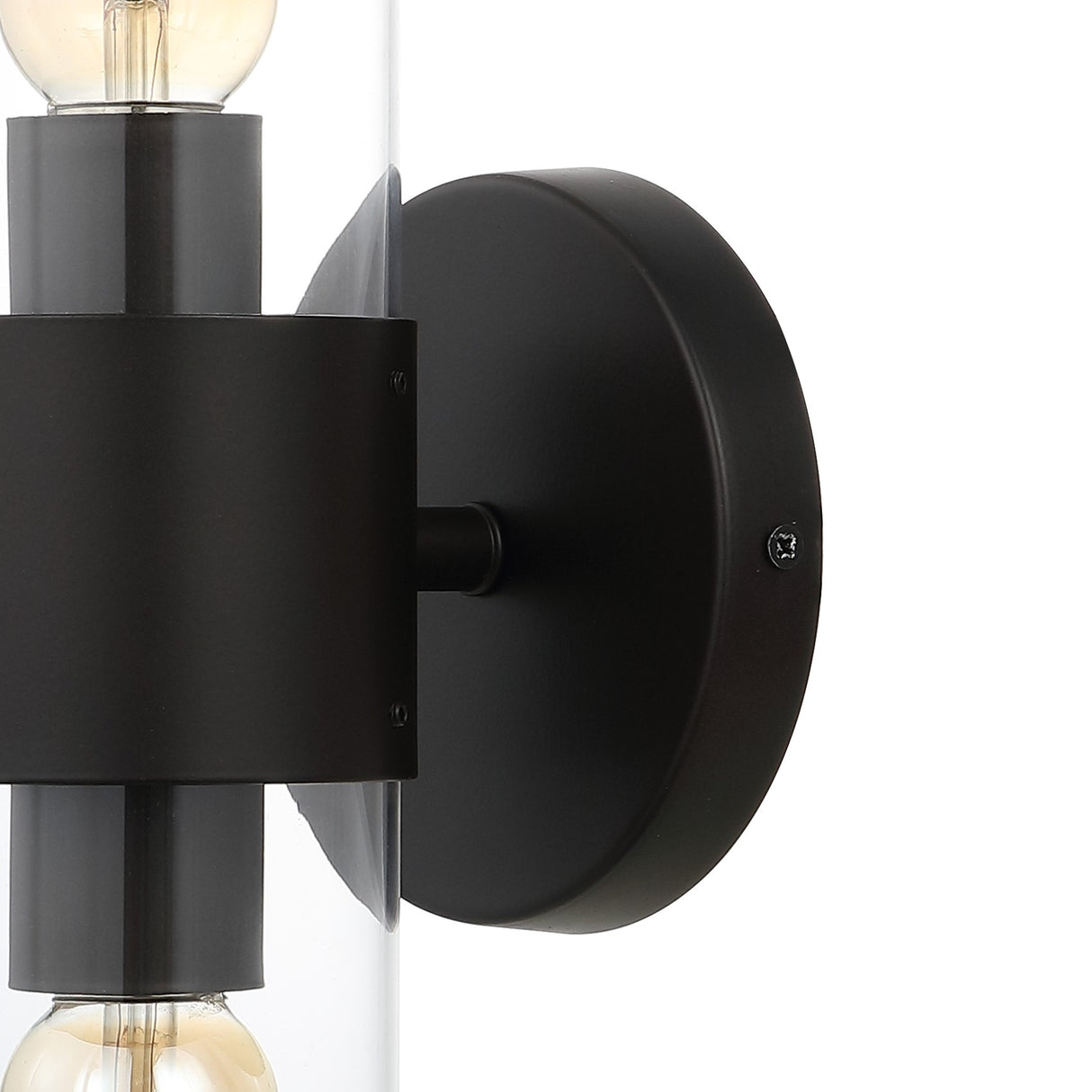 Quinn 2-Light Farmhouse Industrial Iron/Acrylic LED Sconce
