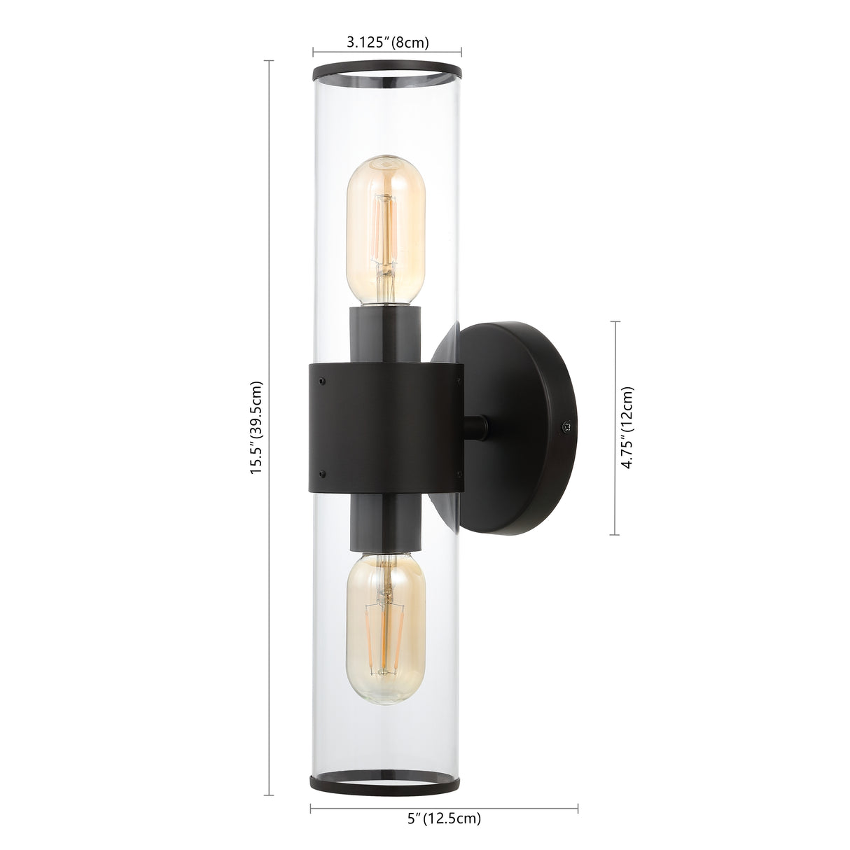 Quinn 2-Light Farmhouse Industrial Iron/Acrylic LED Sconce