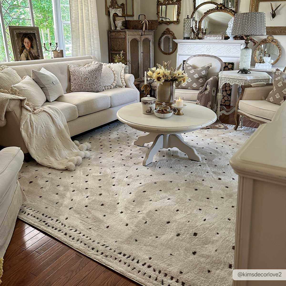 Julie Ivory & Brown Area Rug