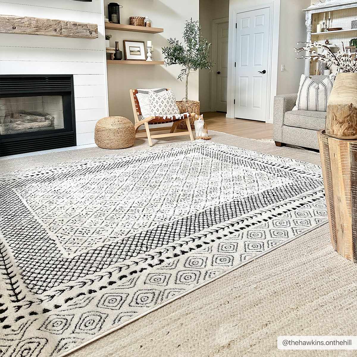 Julio  Area Rug - Clearance