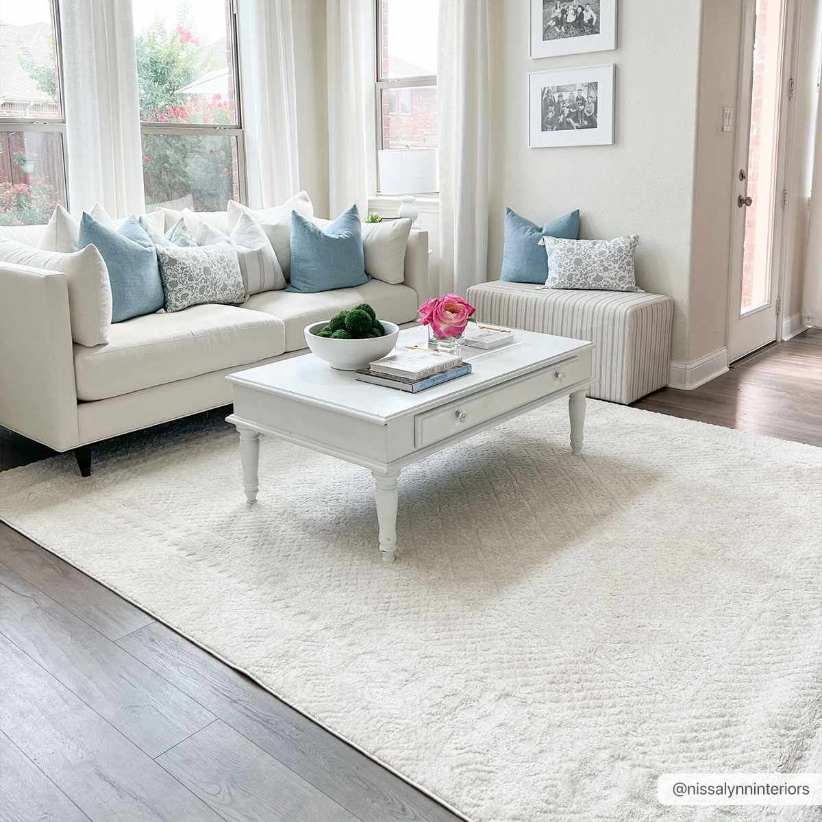 Julio Ivory Area Rug