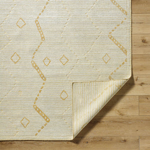 Kasia Area Rug - Clearance