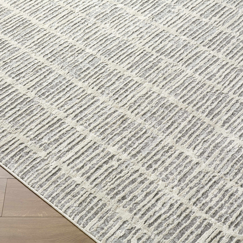 Aricin Gray Area Rug