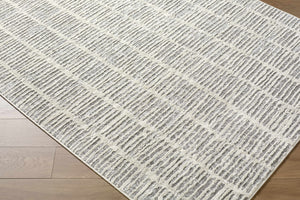 Aricin Gray Area Rug