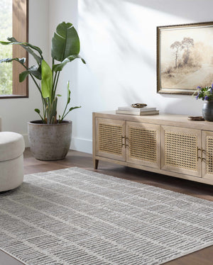 Aricin Gray Area Rug