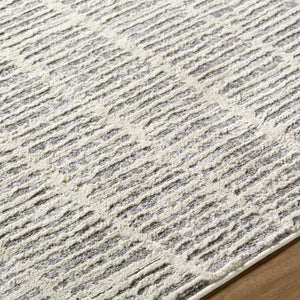 Aricin Gray Area Rug