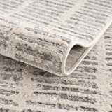 Aricin Gray Area Rug