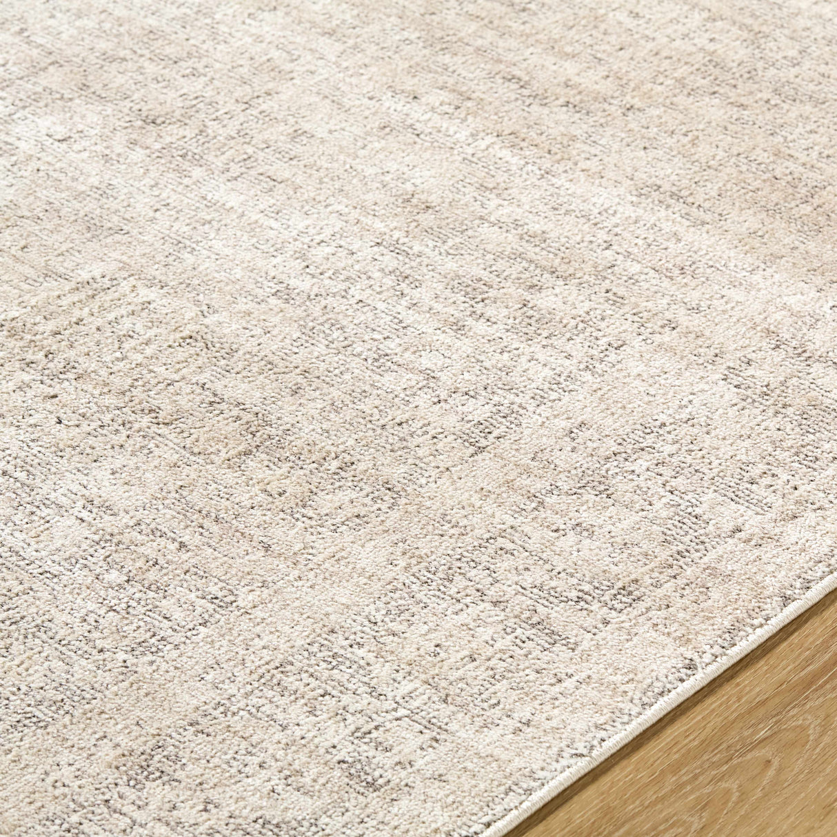 Livabliss x Galey Alix Maria Elena V Vintage Medallion Area Rug