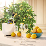 Specialty Limoncello Cocktail Glassware, Set of 4
