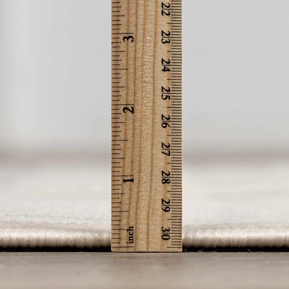 Lascassas Neutral Area Rug