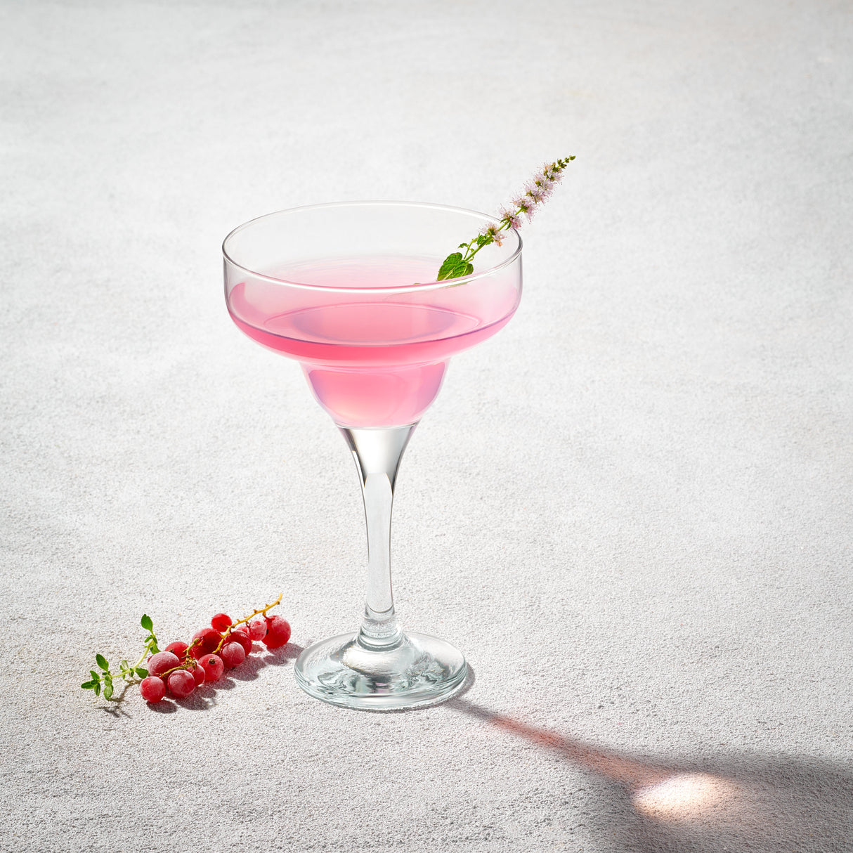 Misket, Margarita Glass-Set of 6