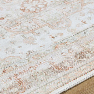 Laran Rust Distressed Washable Area Rug