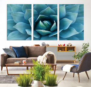 Large Agave Succulent Canvas Wall Art | Botanical Close-Up