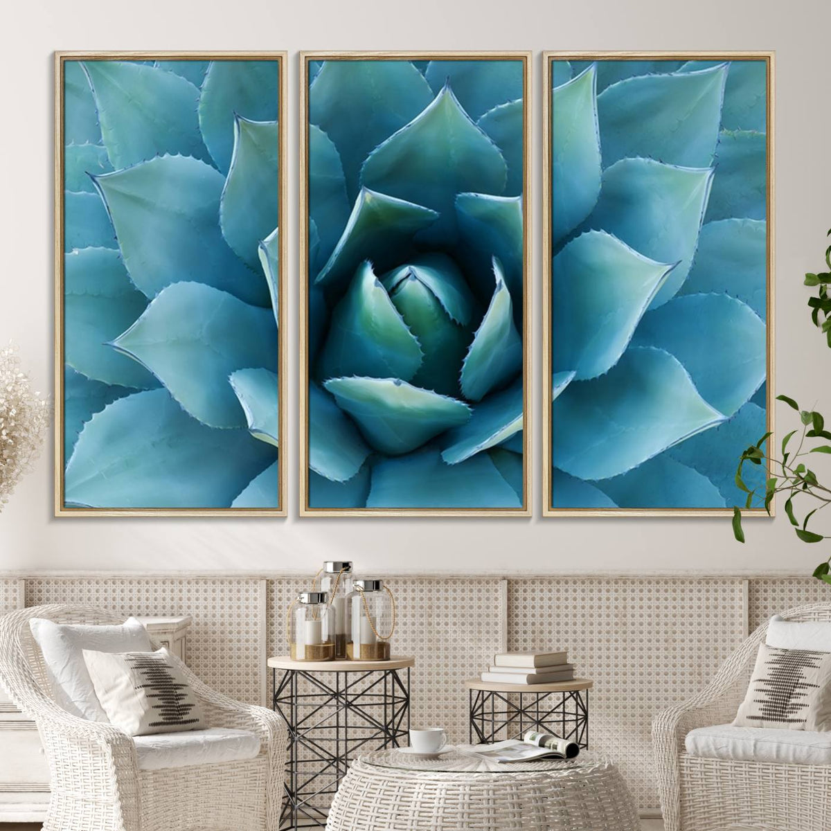 Large Agave Succulent Canvas Wall Art | Botanical Close-Up
