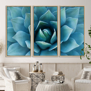 Large Agave Succulent Canvas Wall Art | Botanical Close-Up