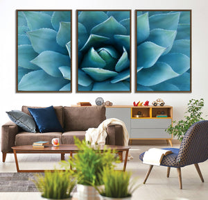 Large Agave Succulent Canvas Wall Art | Botanical Close-Up