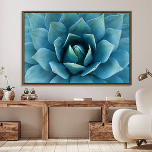 Large Agave Succulent Canvas Wall Art | Botanical Close-Up
