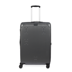 Check-In Luggage