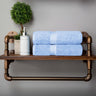 Madison Egyptian Cotton Plush Thick Absorbent Bath Towel Set of 2
