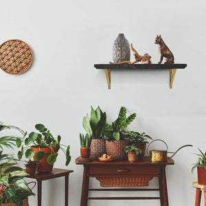 Foster 24" black shelf