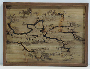 Rectangle lichtenburg
wood burning wall art (
brown )