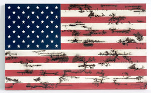 Americana flag wall art