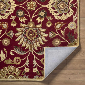 Conesus Red 1061 Hand Tufted Wool Rug