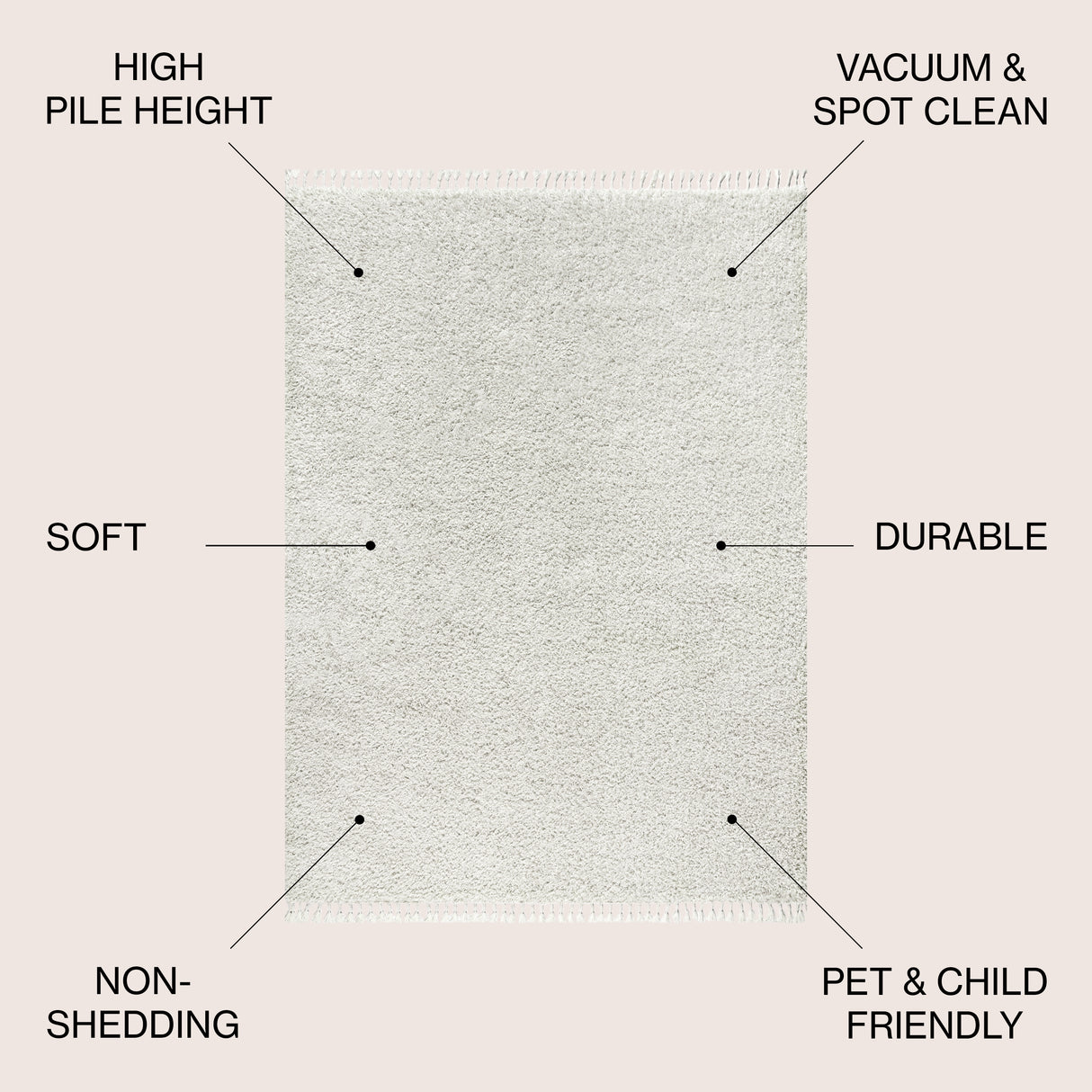 Mercer Shag Plush Tassel Area Rug