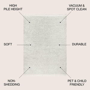 Mercer Shag Plush Tassel Area Rug 3x5 Charcoal