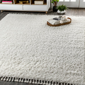 Mercer Shag Plush Tassel Area Rug 3x5 Charcoal