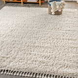 Mercer Shag Plush Tassel Area Rug