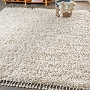 Mercer Shag Plush Tassel Area Rug 3x5 Charcoal