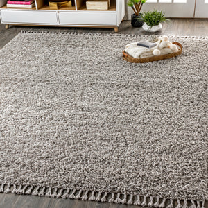 Mercer Shag Plush Tassel Area Rug 3x5 Charcoal