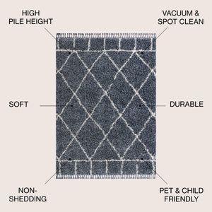 Mercer Shag Plush Tassel Moroccan Geometric Trellis Area Rug