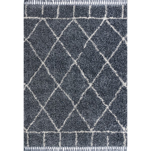 Mercer Shag Plush Tassel Moroccan Geometric Trellis Area Rug
