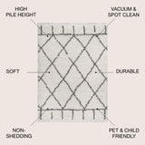 Mercer Shag Plush Tassel Moroccan Geometric Trellis Area Rug