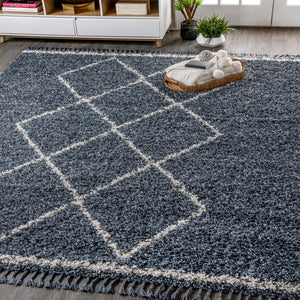 Mercer Shag Plush Tassel Moroccan Tribal Geometric Area Rug