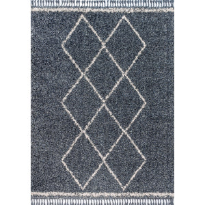 Mercer Shag Plush Tassel Moroccan Tribal Geometric Area Rug