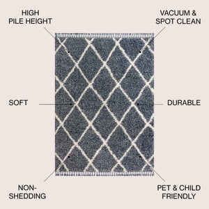 Mercer Shag Plush Tassel Moroccan Trellis Area Rug