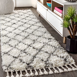 Mercer-Shag-Plush-Tassel-Moroccan-Trellis-Runner-Rug-Runner-Rugs
