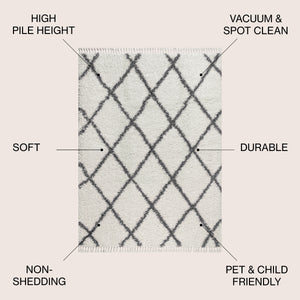 Mercer Shag Plush Tassel Moroccan Trellis Area Rug